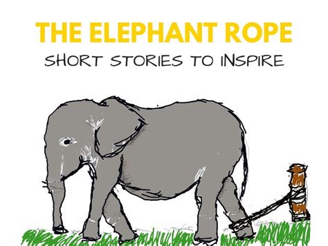 elephant tied with rope|The Elephant and The Rope: What You Believe is Powerful!.